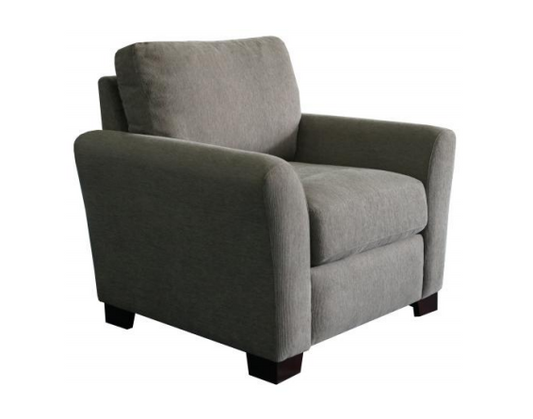 Dark Gray Stationary Chair