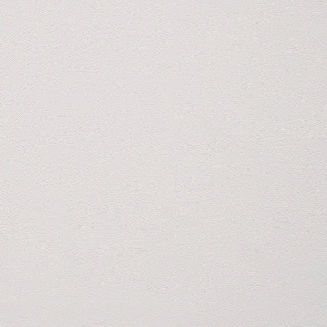 ALISHA Side Chair (2/CTN)