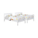 WAPMAN  BED - White Transitional Bunk Bed Bed | NorCal Furniture Santa Clara CA