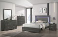 ALISA  MIRROR - Gold Contemporary Mirror | NorCal Furniture Santa Clara CA