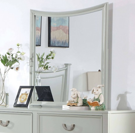 LYCORI  MIRROR - Grey Transitional Mirror | NorCal Furniture Santa Clara CA