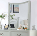 LYCORI  MIRROR - Grey Transitional Mirror | NorCal Furniture Santa Clara CA