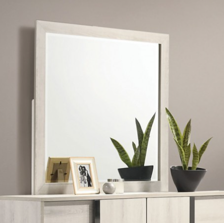 HOST  MIRROR - Mirrored Contemporary Mirror | NorCal Furniture Santa Clara CA