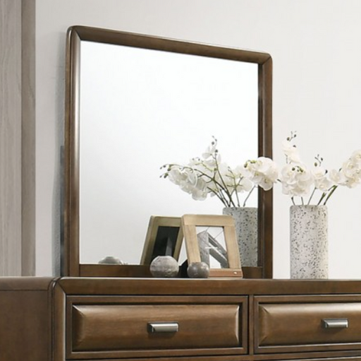 CARYS  MIRROR - Brown Transitional Mirror | NorCal Furniture Santa Clara CA
