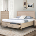 SANDLE  CHEST - Brown Transitional Chest | NorCal Furniture Santa Clara CA