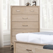 SANDLE  CHEST - Brown Transitional Chest | NorCal Furniture Santa Clara CA