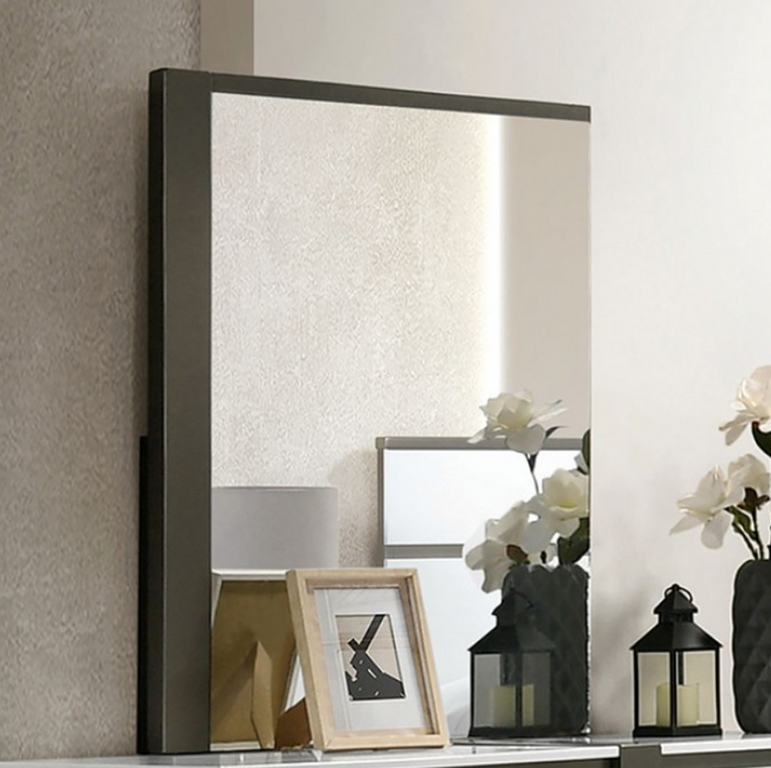 BIRFELL  MIRROR - Gold Contemporary Mirror | NorCal Furniture Santa Clara CA