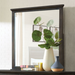 ALINA  MIRROR - Brown Transitional Mirror | NorCal Furniture Santa Clara CA