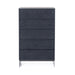Cirque - Modern Black Ash Chest