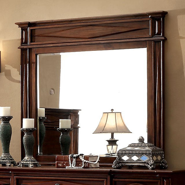 ZELEN  MIRROR - Mirrored Transitional Mirror | NorCal Furniture Santa Clara CA