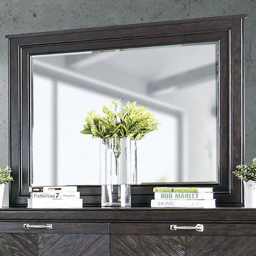 ANNE  MIRROR - Brown Transitional Mirror | NorCal Furniture Santa Clara CA