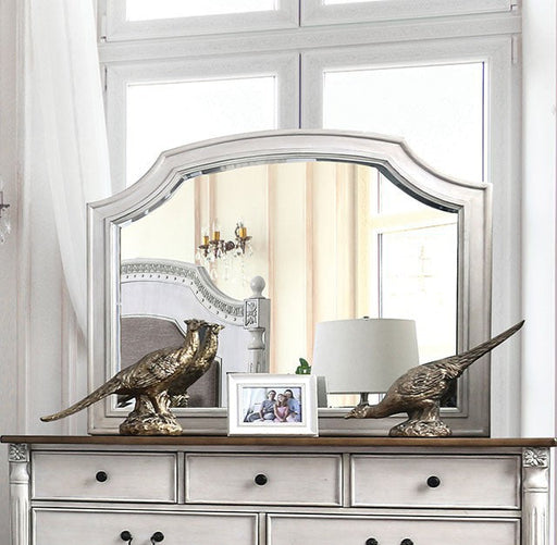 ESPERIA  MIRROR - Black Transitional Mirror | NorCal Furniture Santa Clara CA