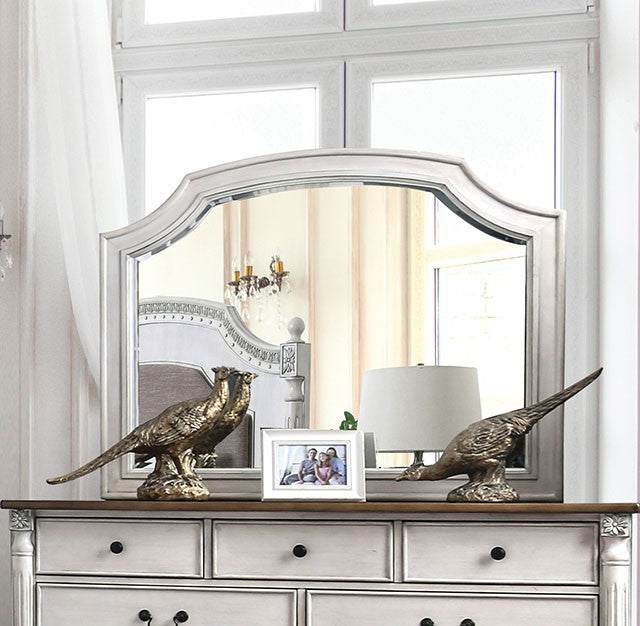 ESPERIA  MIRROR - Black Transitional Mirror | NorCal Furniture Santa Clara CA