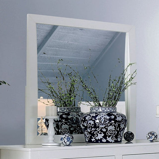 MEANNE  MIRROR - Mirrored Transitional Mirror | NorCal Furniture Santa Clara CA