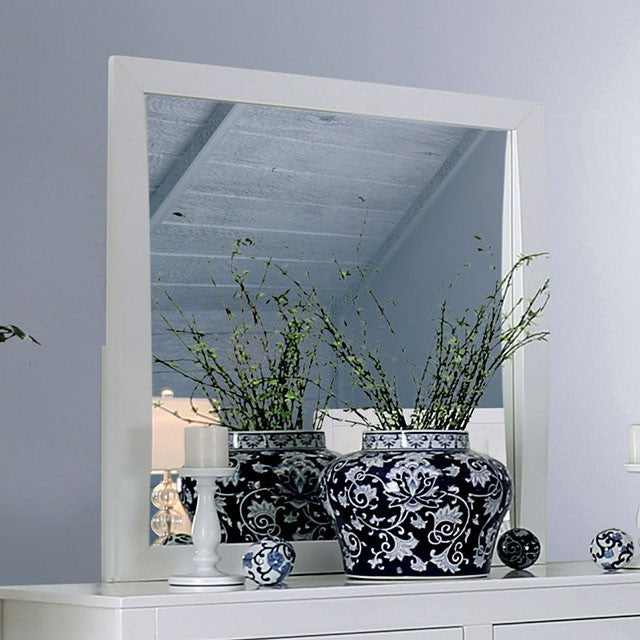 MEANNE  MIRROR - Mirrored Transitional Mirror | NorCal Furniture Santa Clara CA