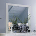 MEANNE  MIRROR - Mirrored Transitional Mirror | NorCal Furniture Santa Clara CA