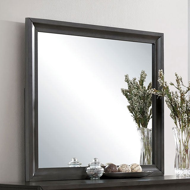 RAISE  MIRROR - Grey Transitional Mirror | NorCal Furniture Santa Clara CA