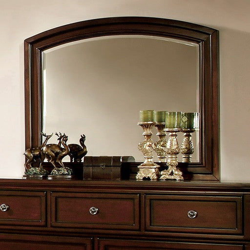 CLARA  MIRROR - Mirrored Transitional Mirror | NorCal Furniture Santa Clara CA