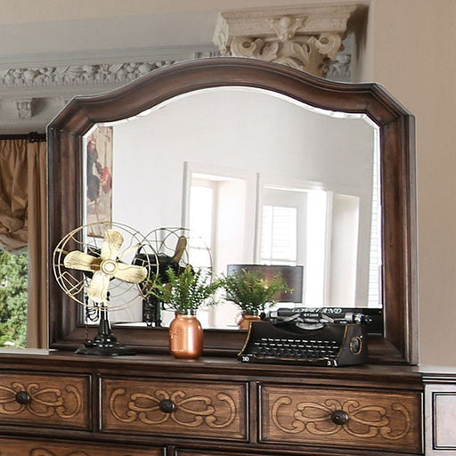 STAR  MIRROR - Brown Transitional Mirror | NorCal Furniture Santa Clara CA