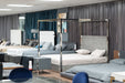 Arlene Modern Grey Elm & Stainless Steel Canopy Bed