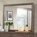 RAWANA MIRROR - Grey Transitional Mirror | NorCal Furniture Santa Clara CA