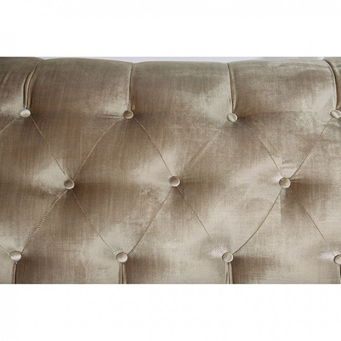 Alicia (Champagne) Sofa